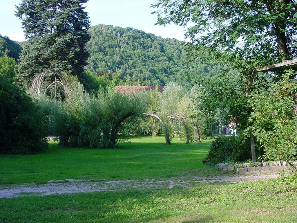 chambres d'hotes  Le Magnolia Sainte-Croix-aux-Mines Extérieur photo
