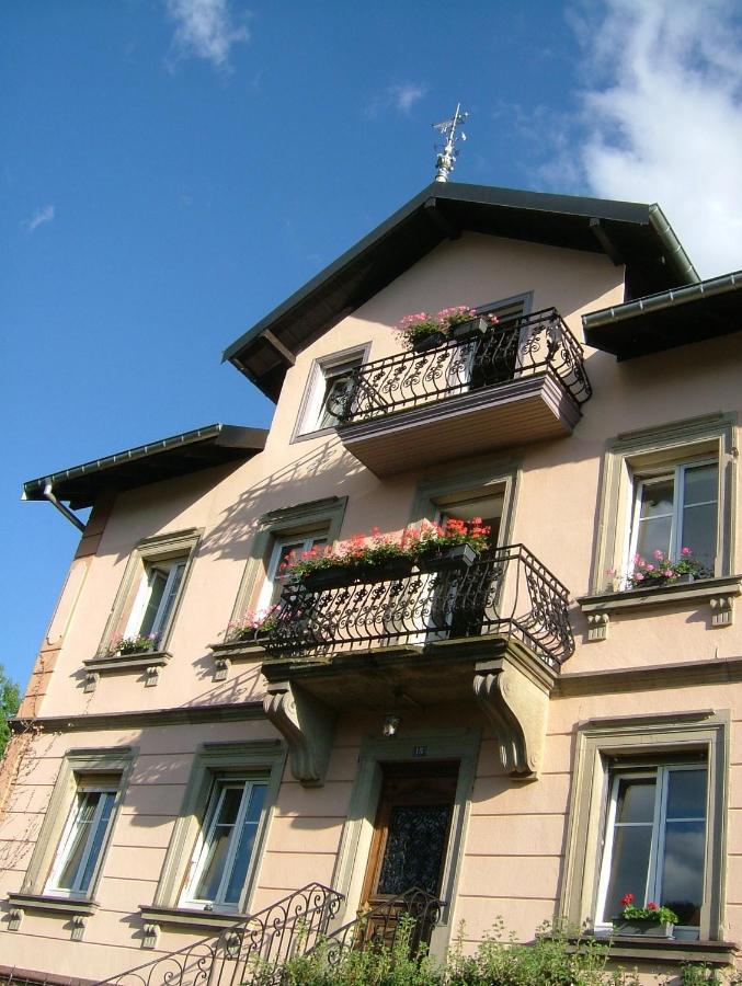 chambres d'hotes  Le Magnolia Sainte-Croix-aux-Mines Extérieur photo