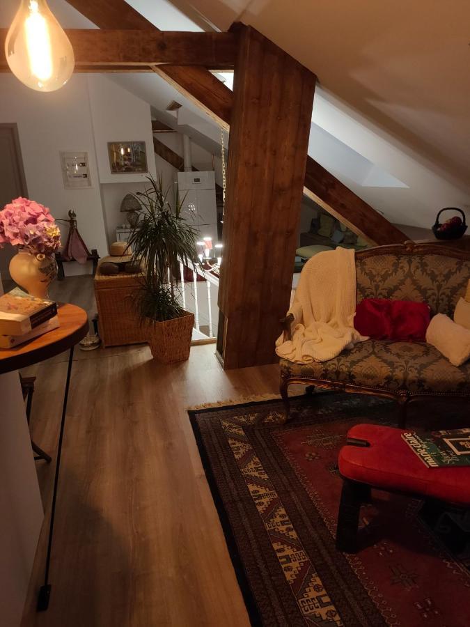 chambres d'hotes  Le Magnolia Sainte-Croix-aux-Mines Extérieur photo